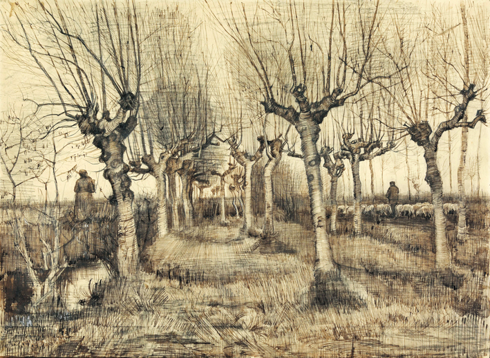  文森特·威廉·梵高  Vincent Willen Van Gogh —— 桦树